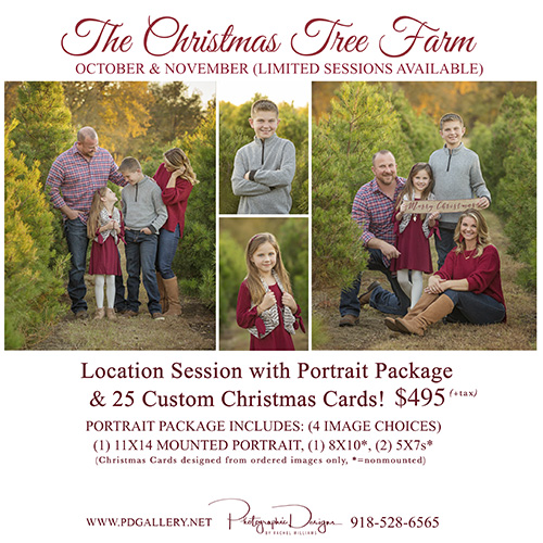 Mini Session at the Christmas Tree Farm with Portrait Package!
