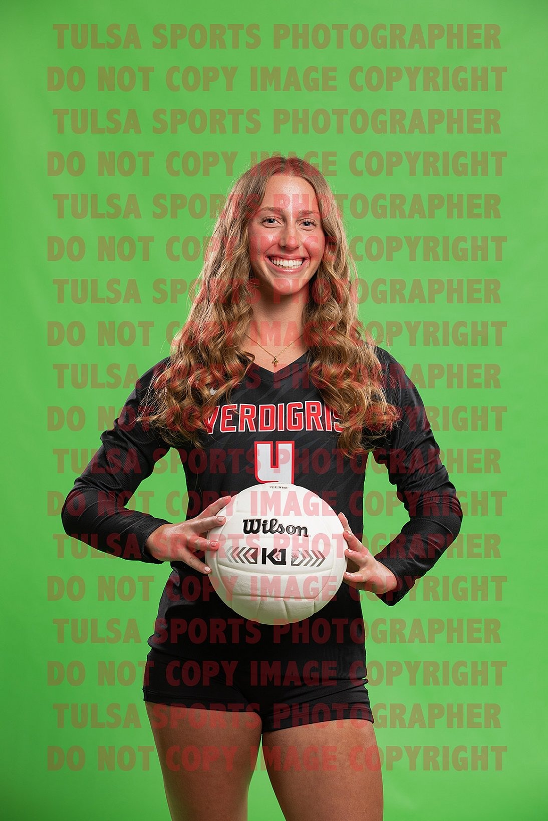 Verdigris Volleyball Banner