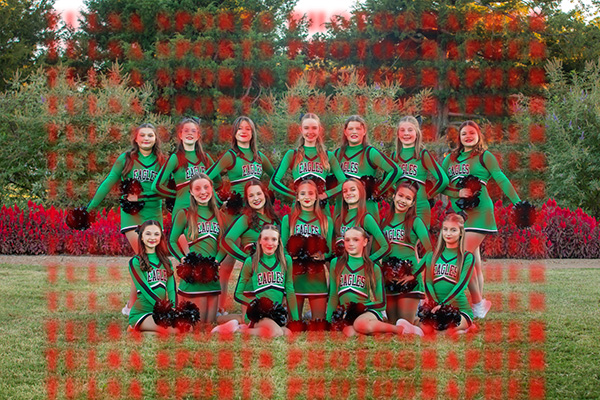 Edison Pom MS Classic - Late Orders Digital Only